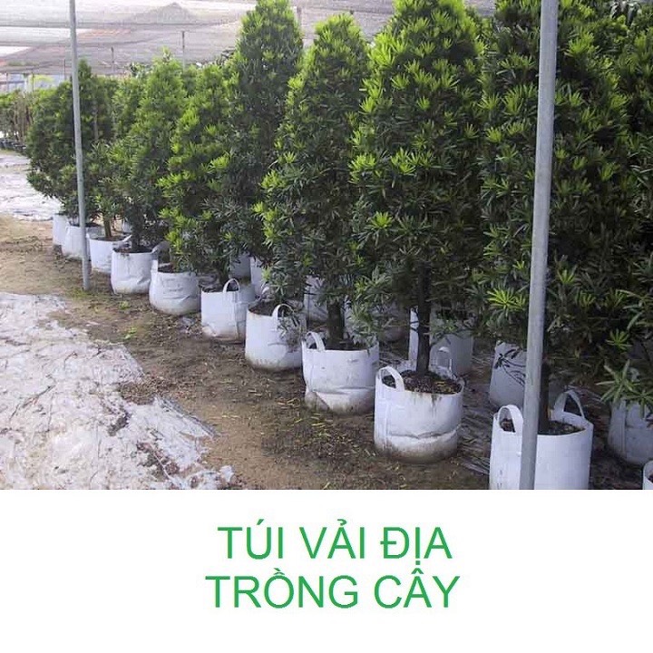Túi Vải Trồng Cây 2 Quai Xách Kích Thước 30x25cm