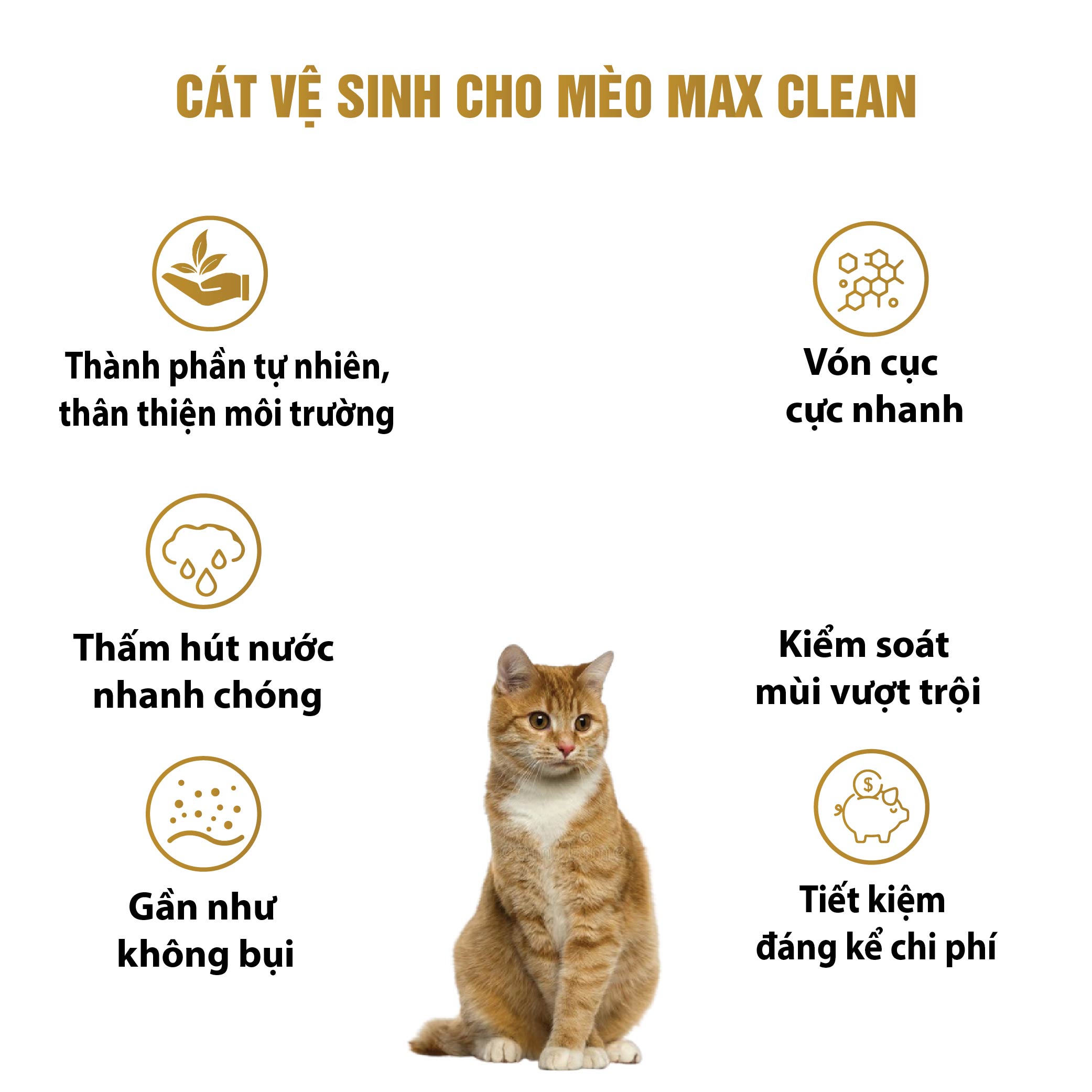 Cát Vệ Sinh Cho Mèo Cao Cấp Max Clean Hương CAFE Siêu Vón Siêu Ít Bụi, Trọng Lượng 4Kg