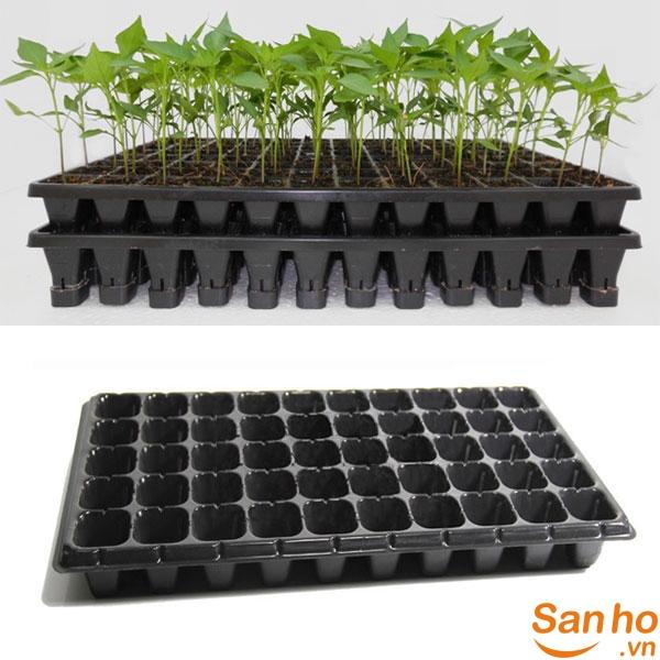 2 cái Khay nhựa ươm cây, khay ươm hạt giống, khay gieo hạt 28 lỗ/1 cái