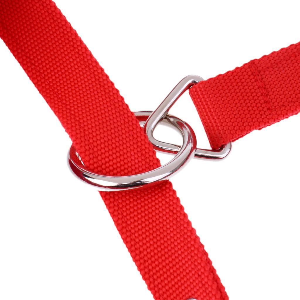 Soft Padded Adjustable Horse Headcollar  + 2.5 Meters Lead Rope
