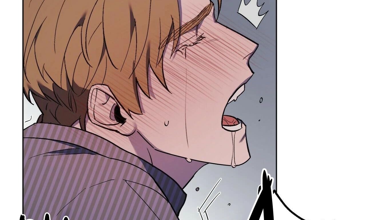 chàng dâu nhà họ kang chapter 20 37