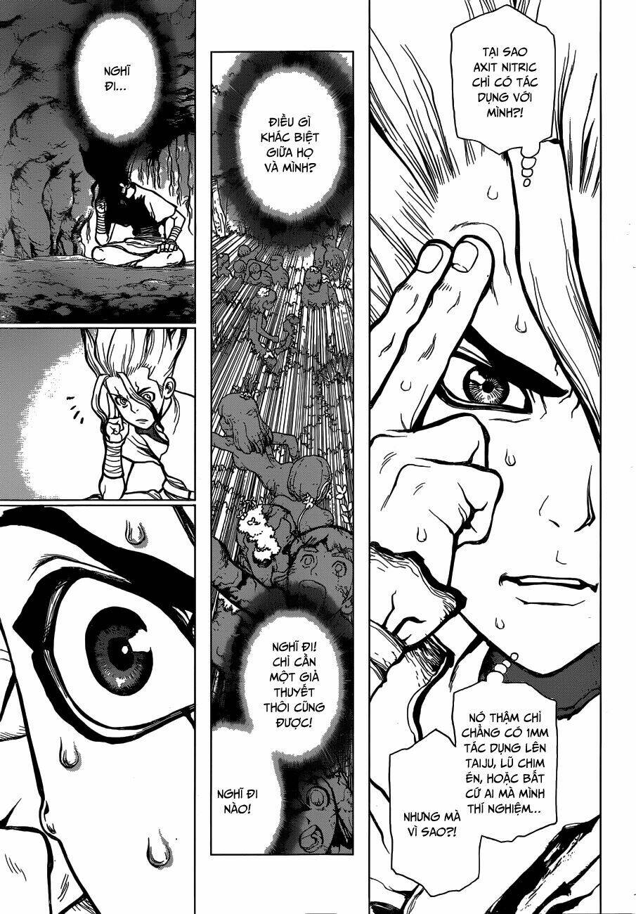 dr.stone - hồi sinh thế giới chapter 14 12