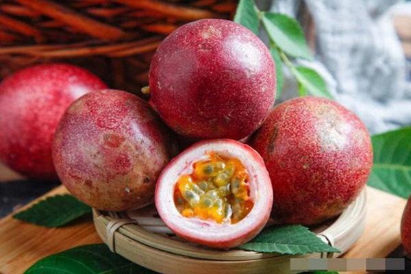 CÂY giống Chanh Leo tím