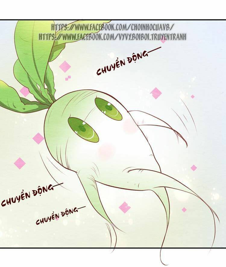 nhân hoa duyên chi sư phụ đại nhân cầu sủng ái chapter 4 20