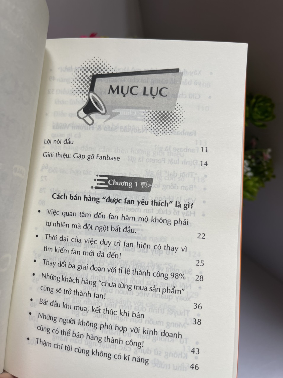 TẠO FAN THƯƠNG HIỆU – CHỐT TRIỆU ĐƠN HÀNG – Hiromi Wada, Cố vấn Naoyuki - An Ly dịch- Hanoibooks – NXB Công Thương