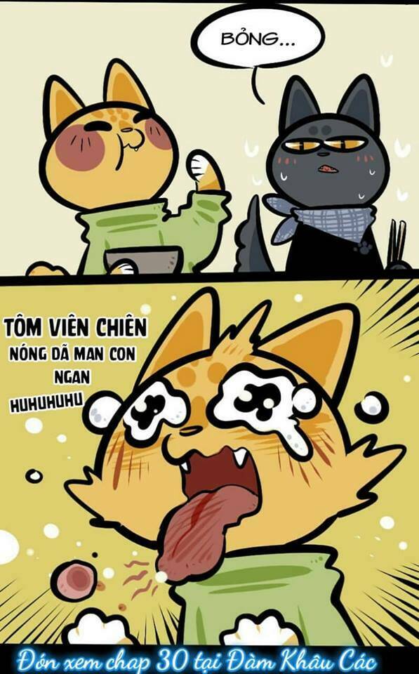 đời không như mình tưởng chapter 29 9