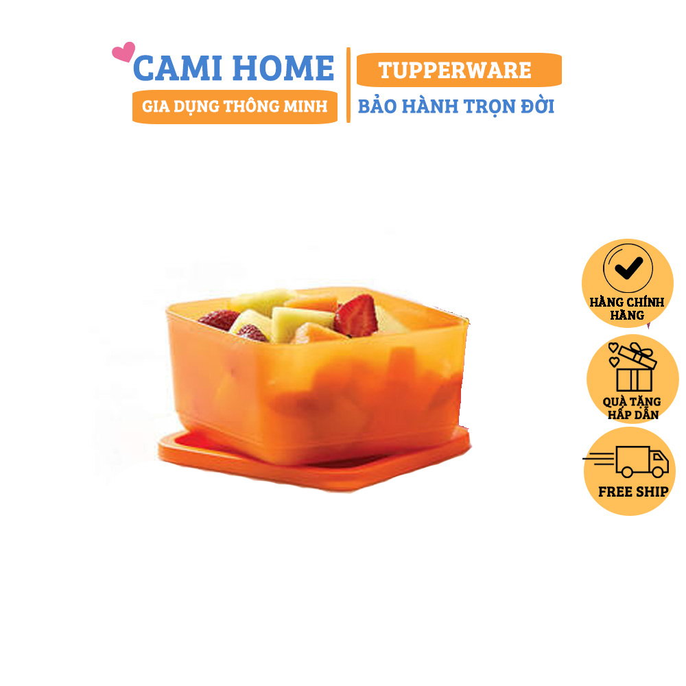 Bộ Hộp Bảo Quản Thực Phẩm Medium Summer Fresh Tupperware, Hộp Trữ Khô, Nhựa Nguyên Sinh An Toàn