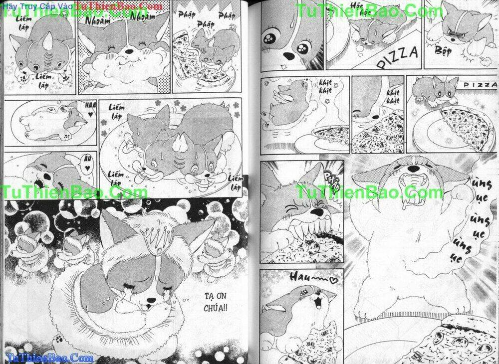 chó con mo mo chapter 3 75