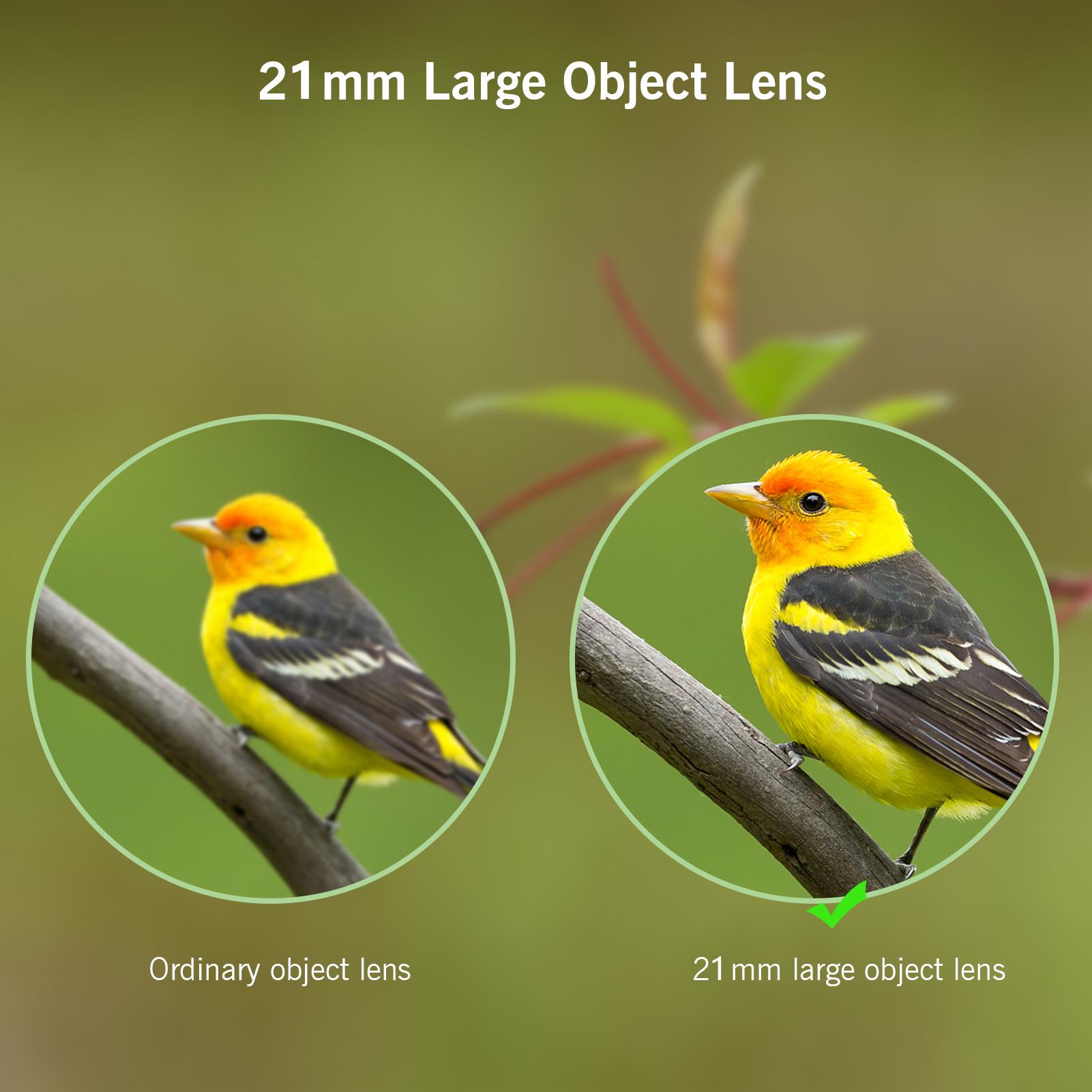 Mini Binoculars Foldable Pocket Binoculars for Adults Kids Bird Opera Watching Sightseeing Hiking Travel Concert Theater