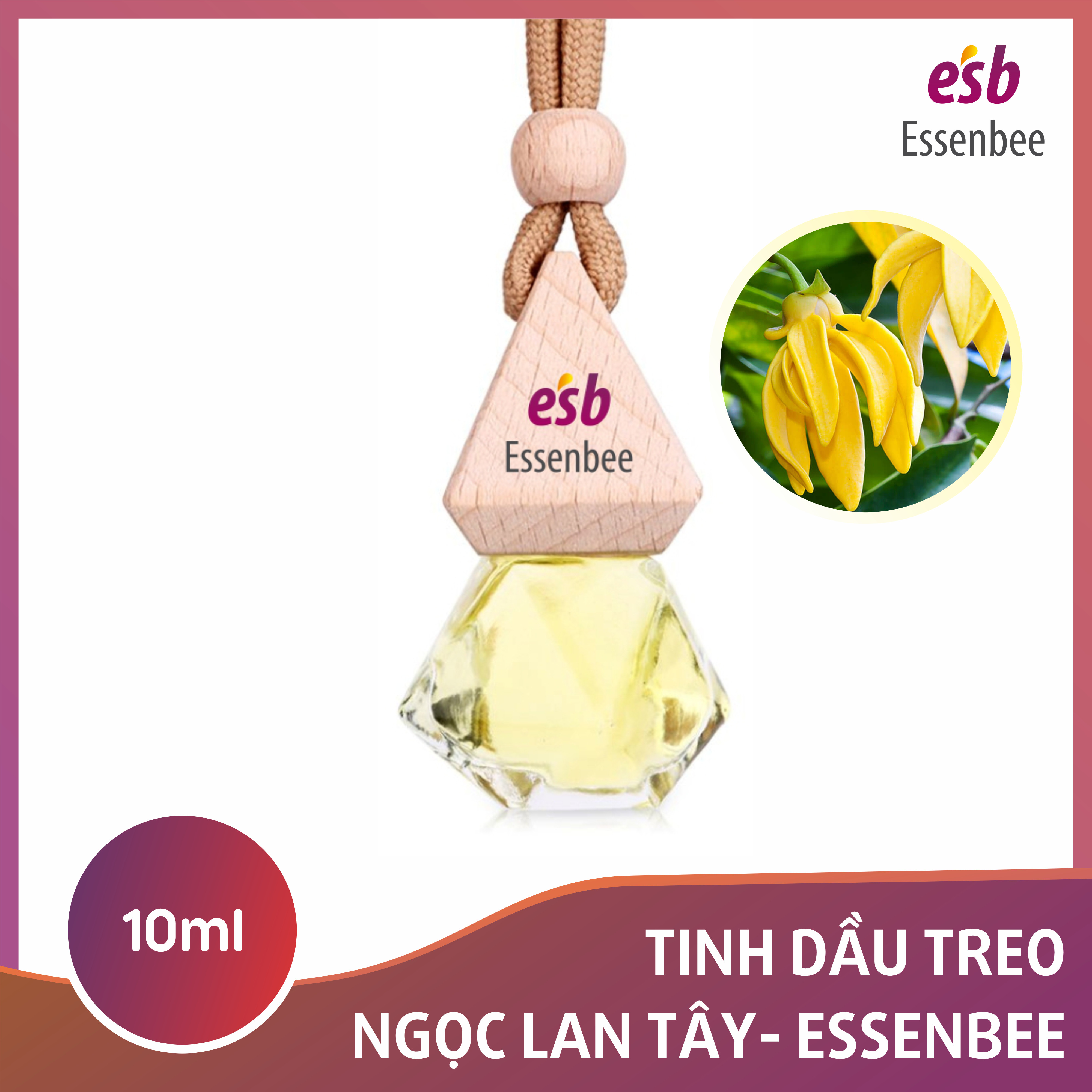 Tinh dầu treo xe Ngọc Lan Tây (Ylang Ylang) – Essenbee – 10ml