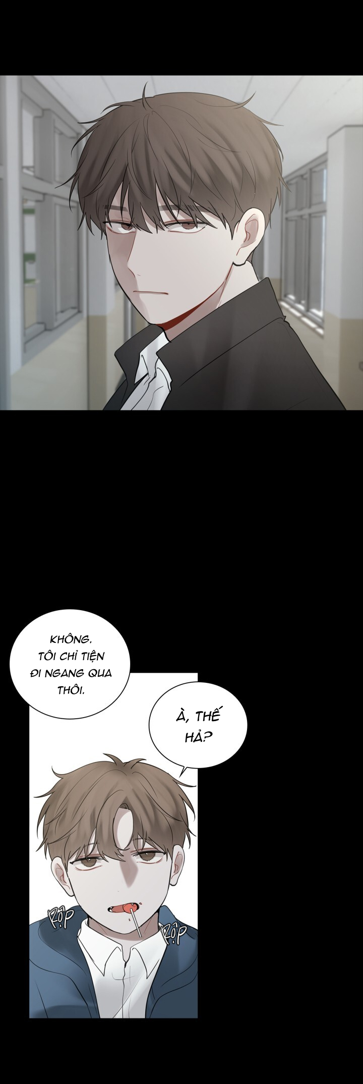 hình bóng phản chiếu chapter 12 23