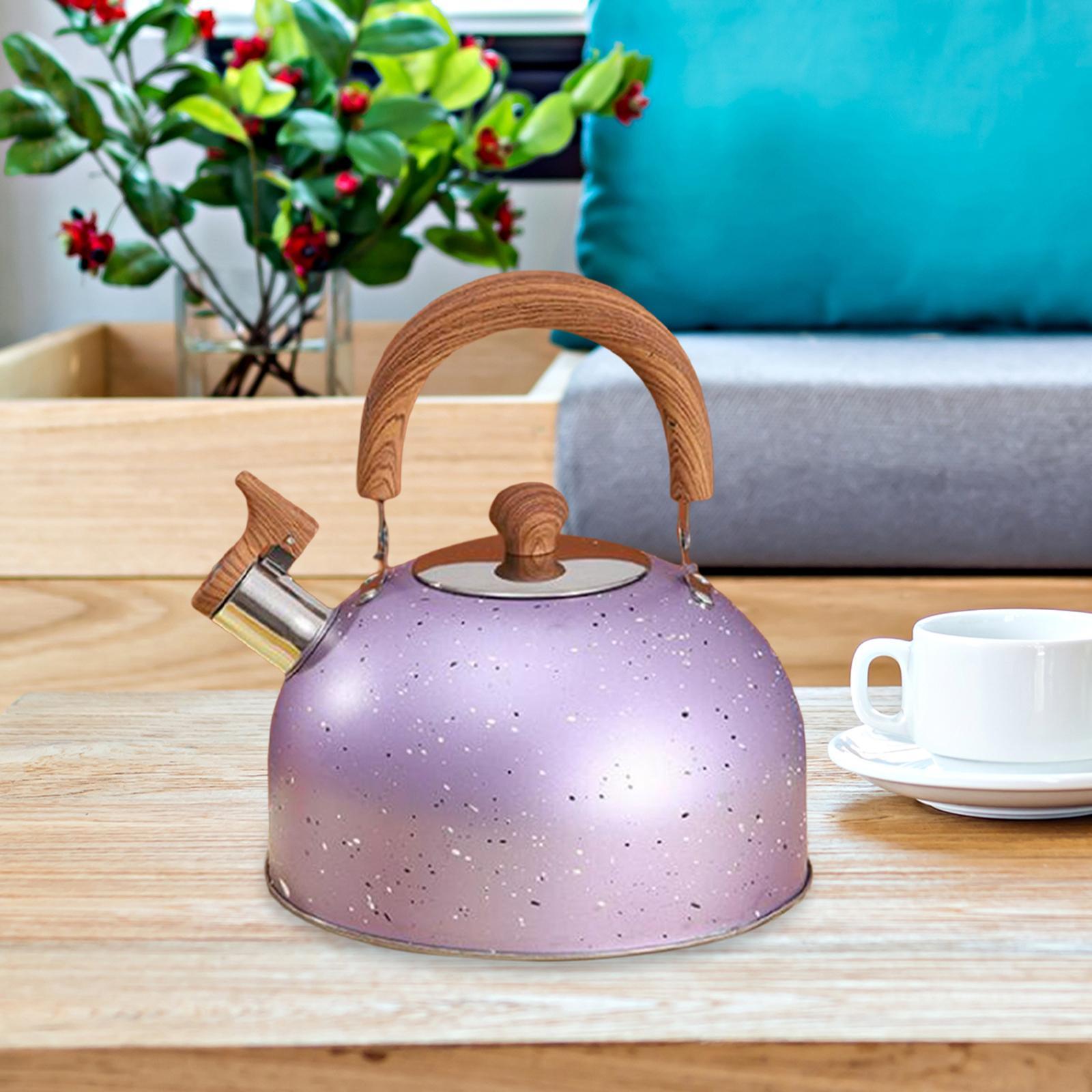 3L Tea Kettle Stovetop Whistling Stainless Steel Green