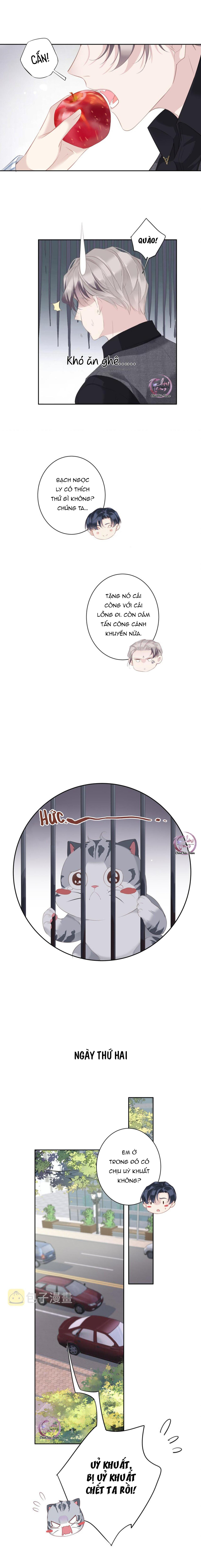 cuộc mai mối vượt giống loài chapter 37 3