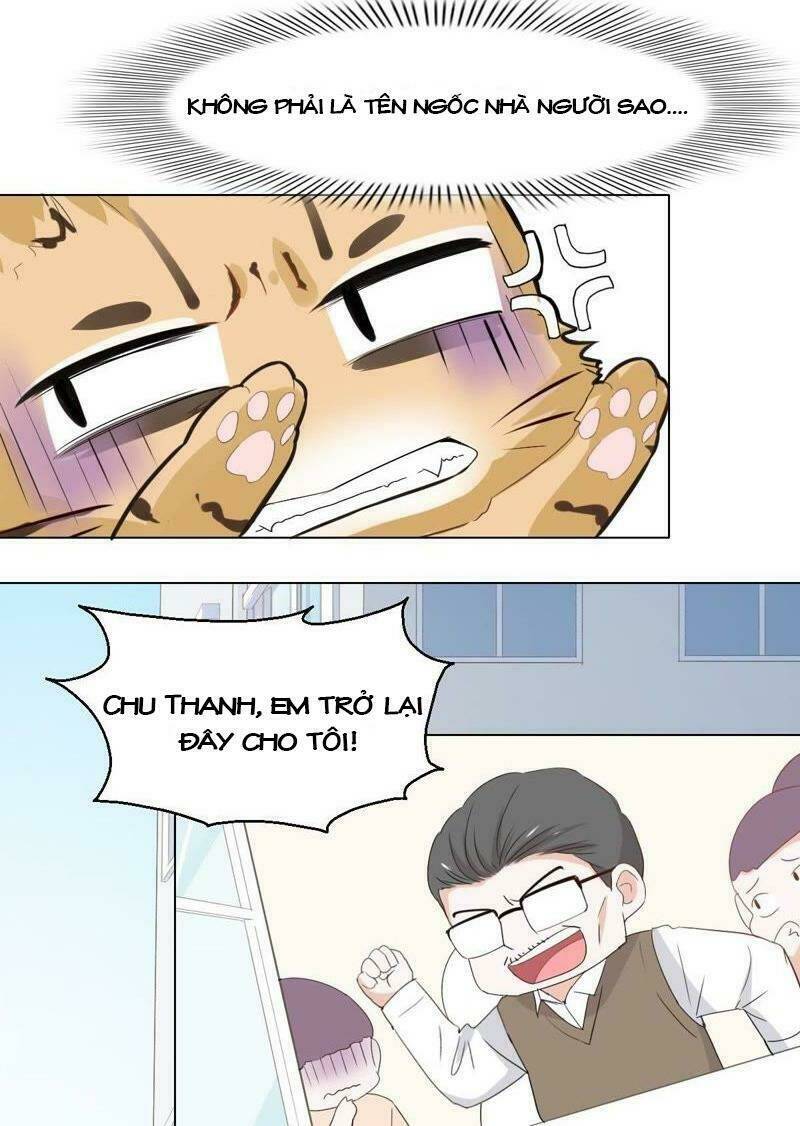 thập nhị hắc miêu chapter 1 31