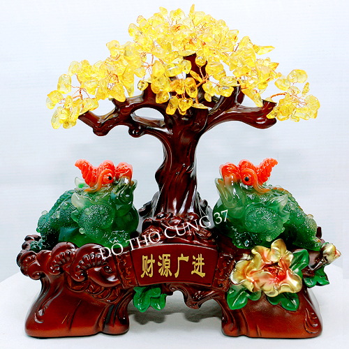 CÓC THIỀM THỪ KIM TIỀN