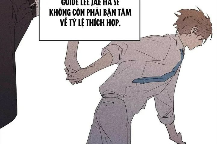 guide cấp b chapter 43 80