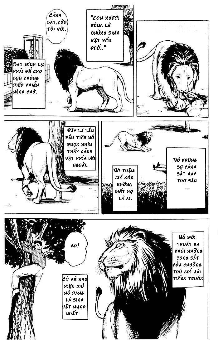 kiseijuu - ký sinh vật chapter 4 6