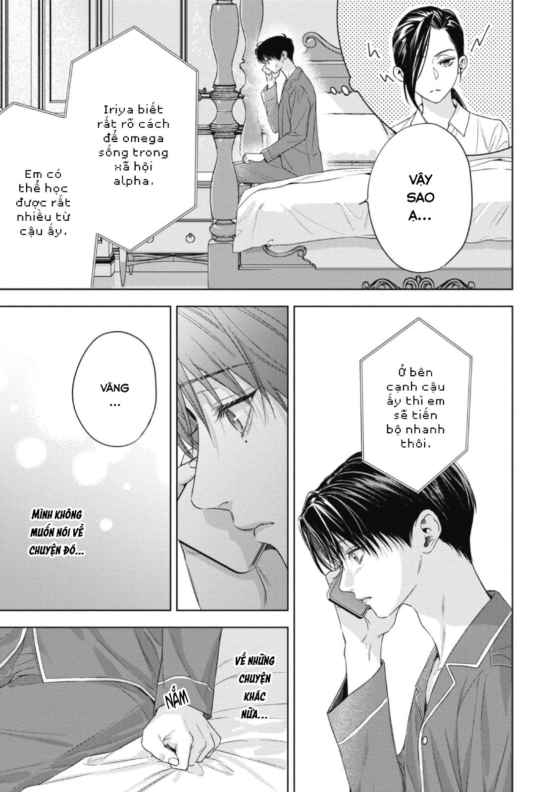 cô dâu của alpha chapter 25 26