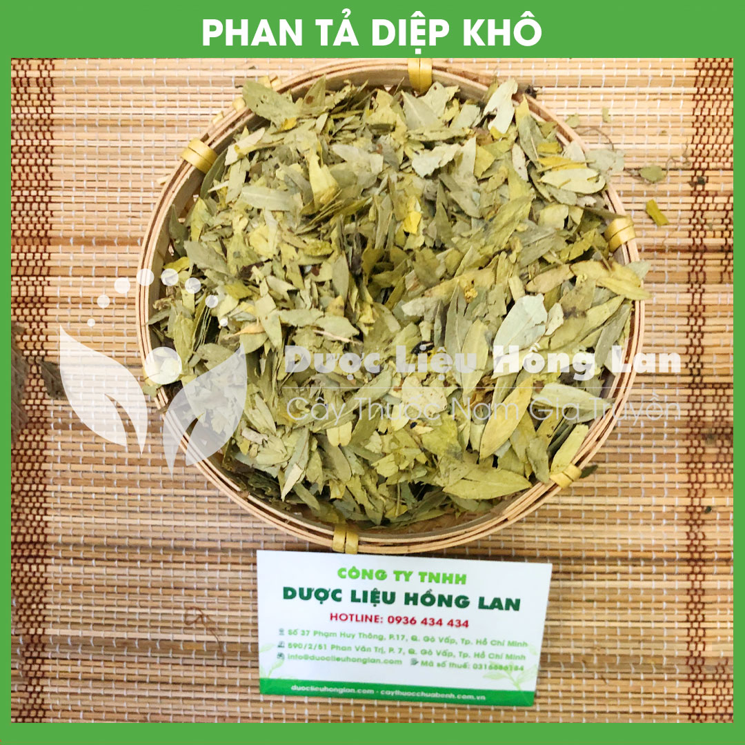 Lá Phan Tả Diệp khô 500gram