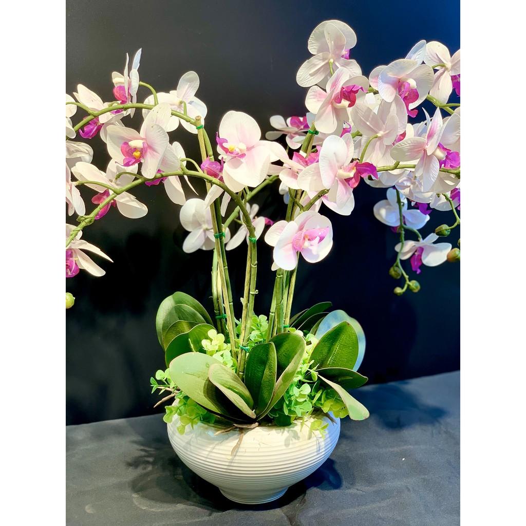 Bình hoa lan sinh động cực đẹp phong cách tân cổ điển sang trọng CHL2 - Thích hợp để trên các kệ tủ trưng bày