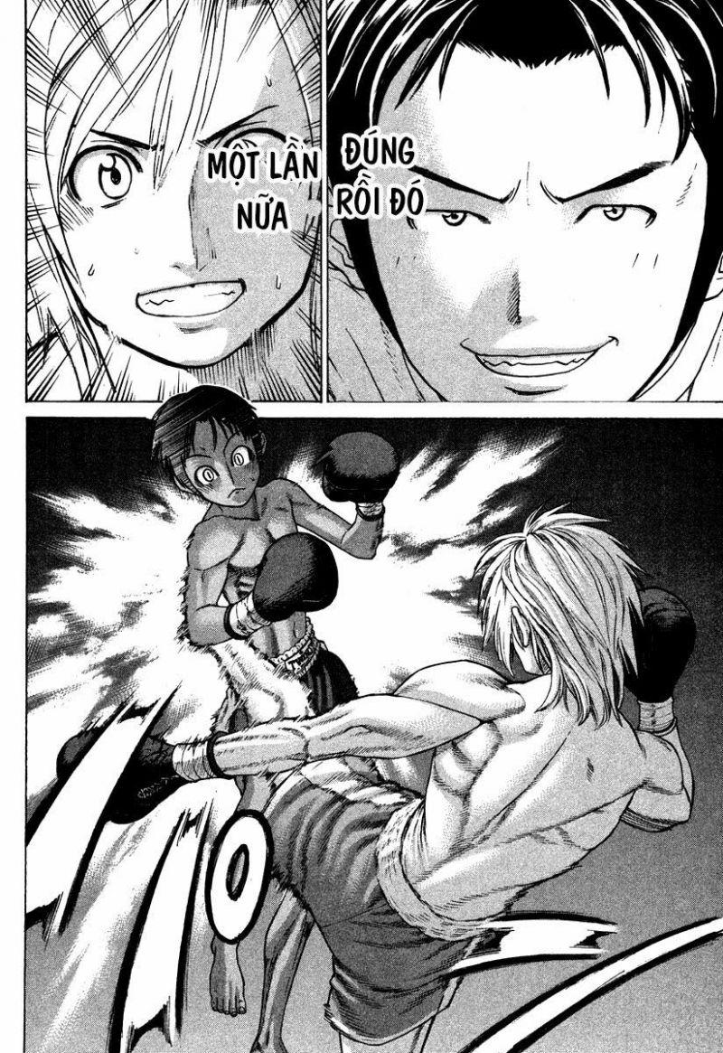 karate shoukoushi kohinata minoru chapter 180 11