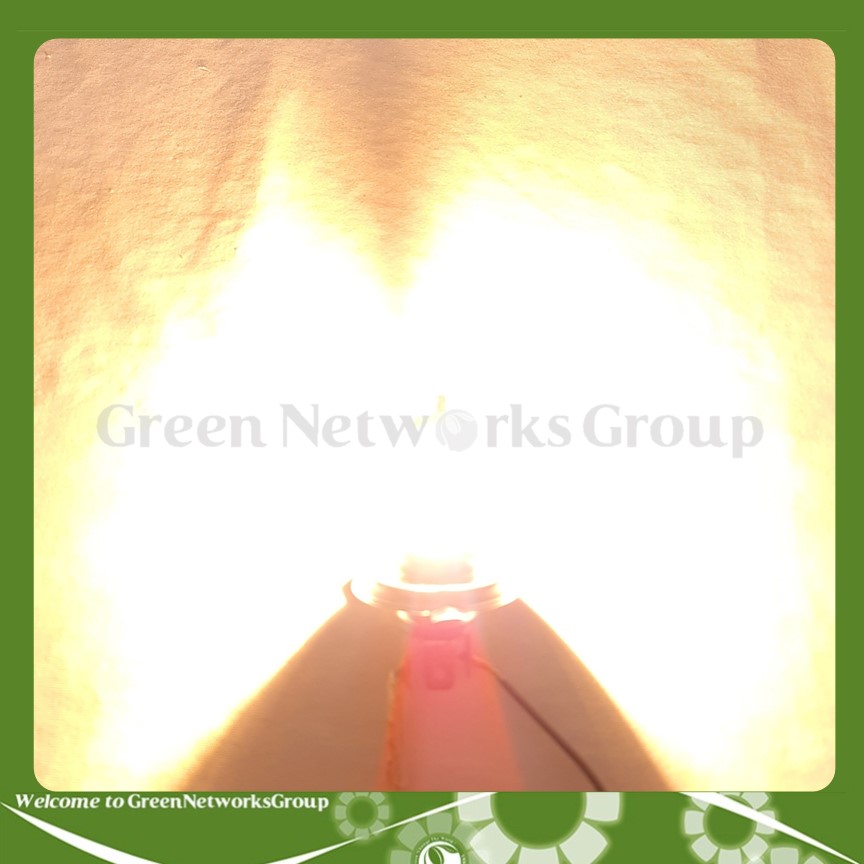Bóng đèn pha Halogen Sun Shing chân H4 12V 35/35W Green Networks Group