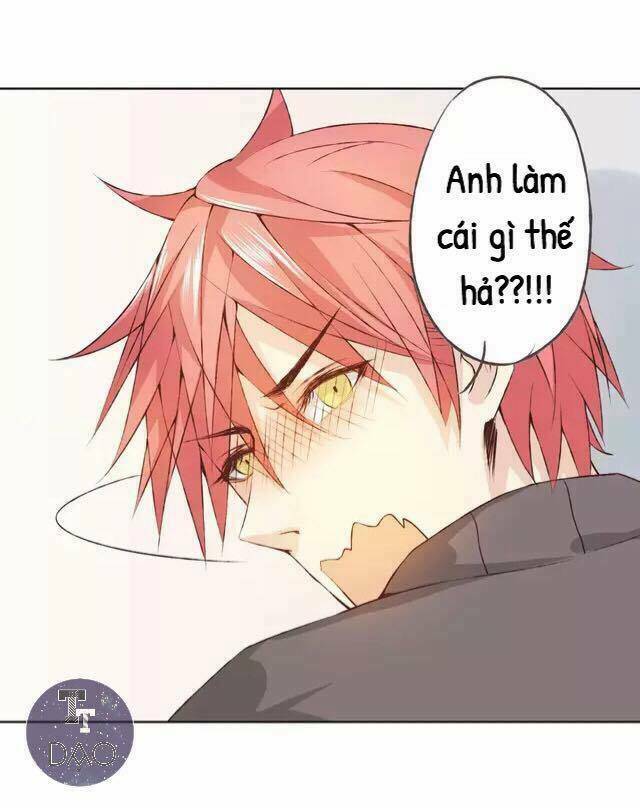 tôi không phải đa nhân cách chapter 29 25