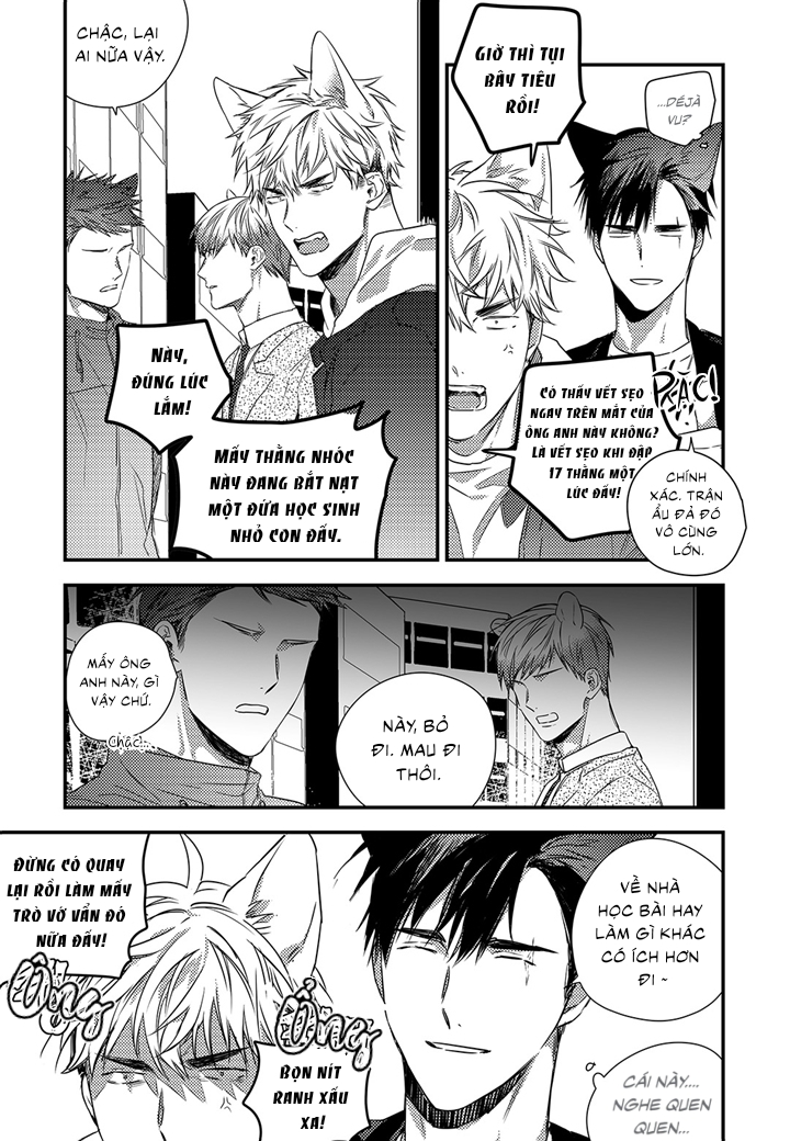 phản xạ có điều kiện chapter 12 22