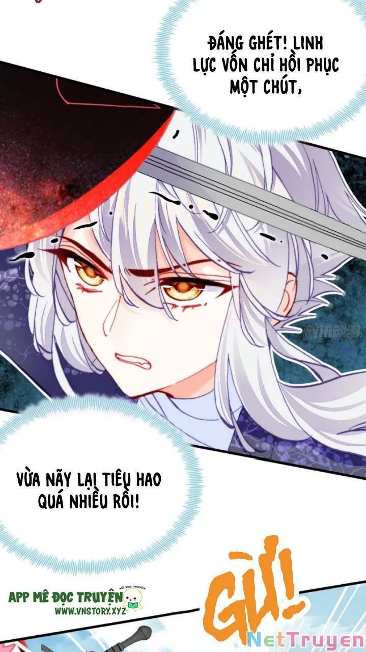 lại bị bệnh chiều chuộng quấn lấy chapter 23 33