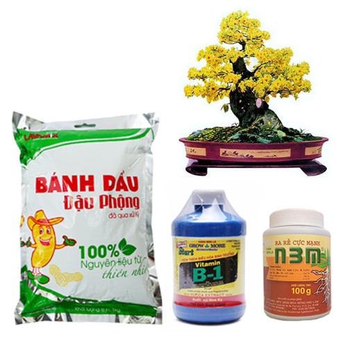 COMBO CHĂM SÓC VÀ PHỤC HỒI MAI SAU TẾT- GÓI MINI - 1 N3M 100 GRAM + BÁNH DẦU ĐẬU PHỘNG 1 KG + VITAMIN B1 GROWMORE 235 ML - PHỤC HỒI MAI SAU KHI RA HOA VÀ SUY YẾU