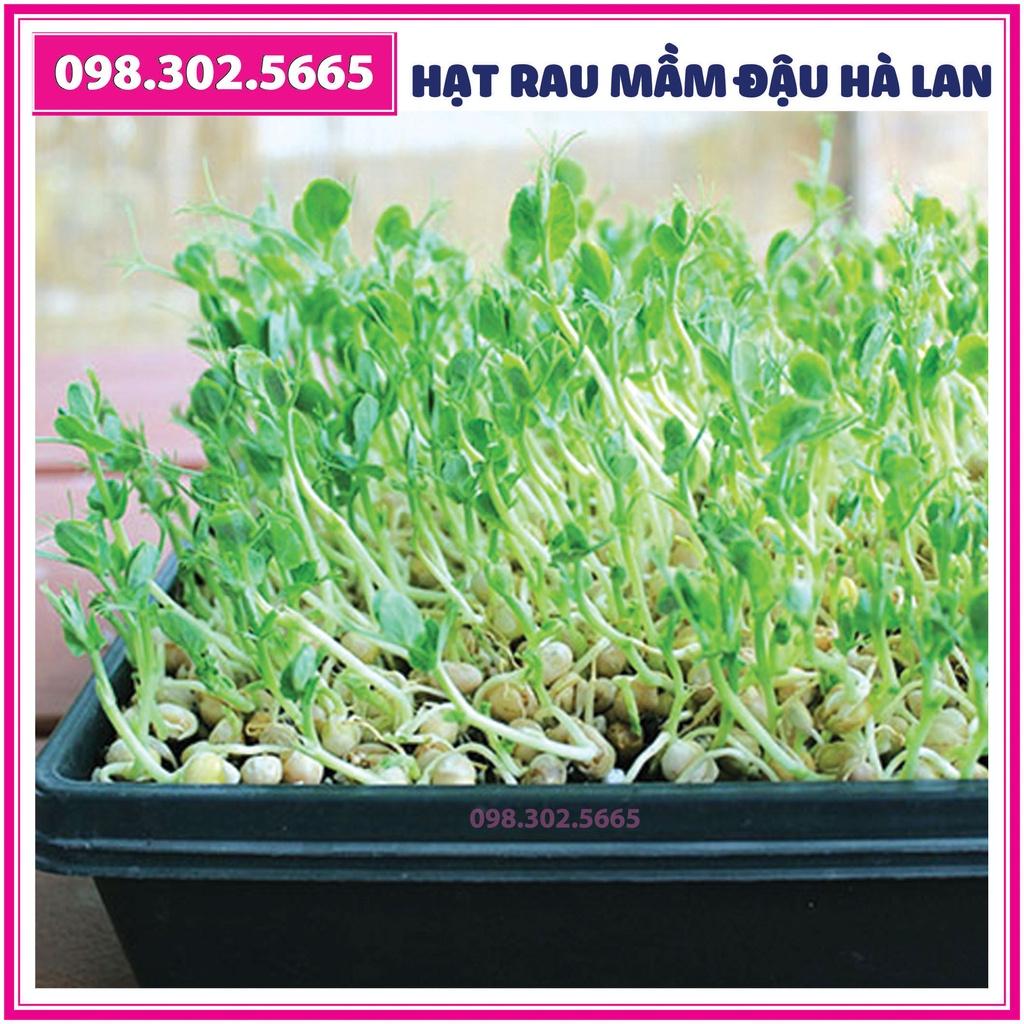 Bộ 10 gói Hạt rau mầm đậu hà lan - gói 90g - Trồng rau mầm sạch, rau mầm hữu cơ an toàn tại nhà