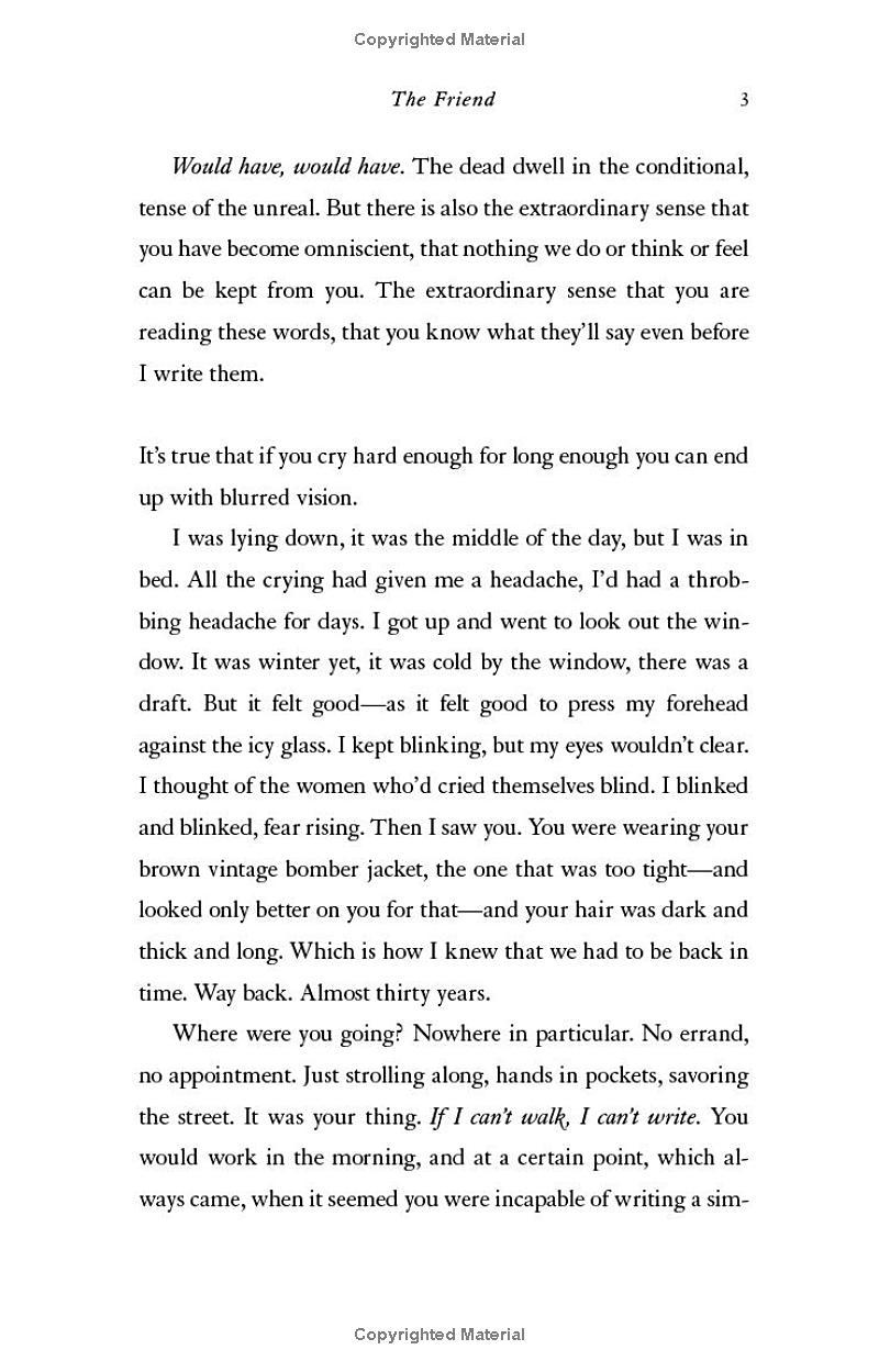 Sách ngoại văn: The Friend (National Book Award Winner)