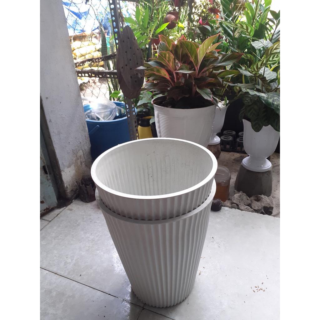 Combo 2 chậu nhựa dày trồng kiểng sọc