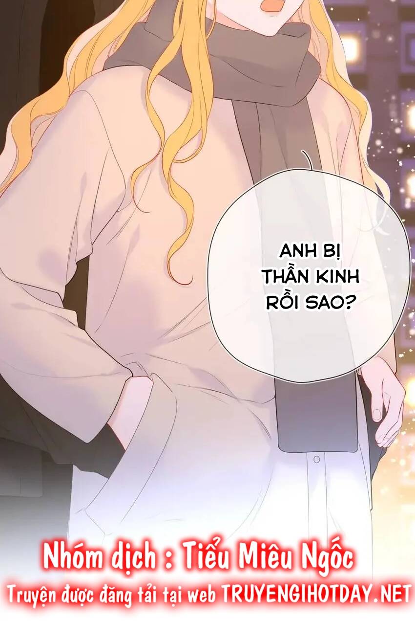 vì sao của tôi chapter 148 24