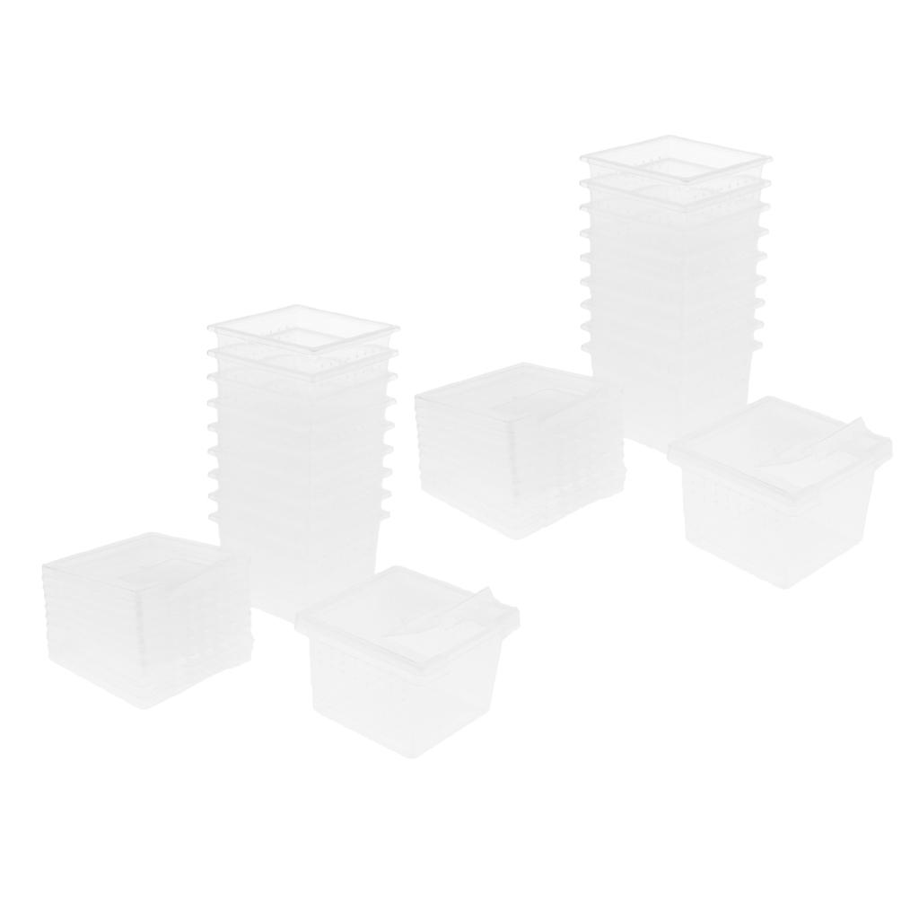 20 Pcs Reptile Food Water Feeder Feeding Spider Basin Insect Turtle Breeding
