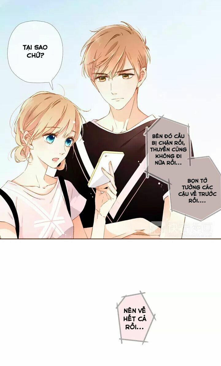 Tình yêu là màu hoa anh thảo chapter 29.1 27