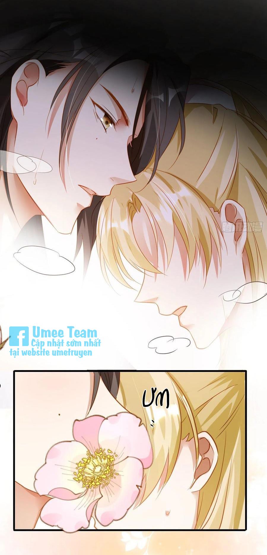 lục thân bất nhận chapter 84 21