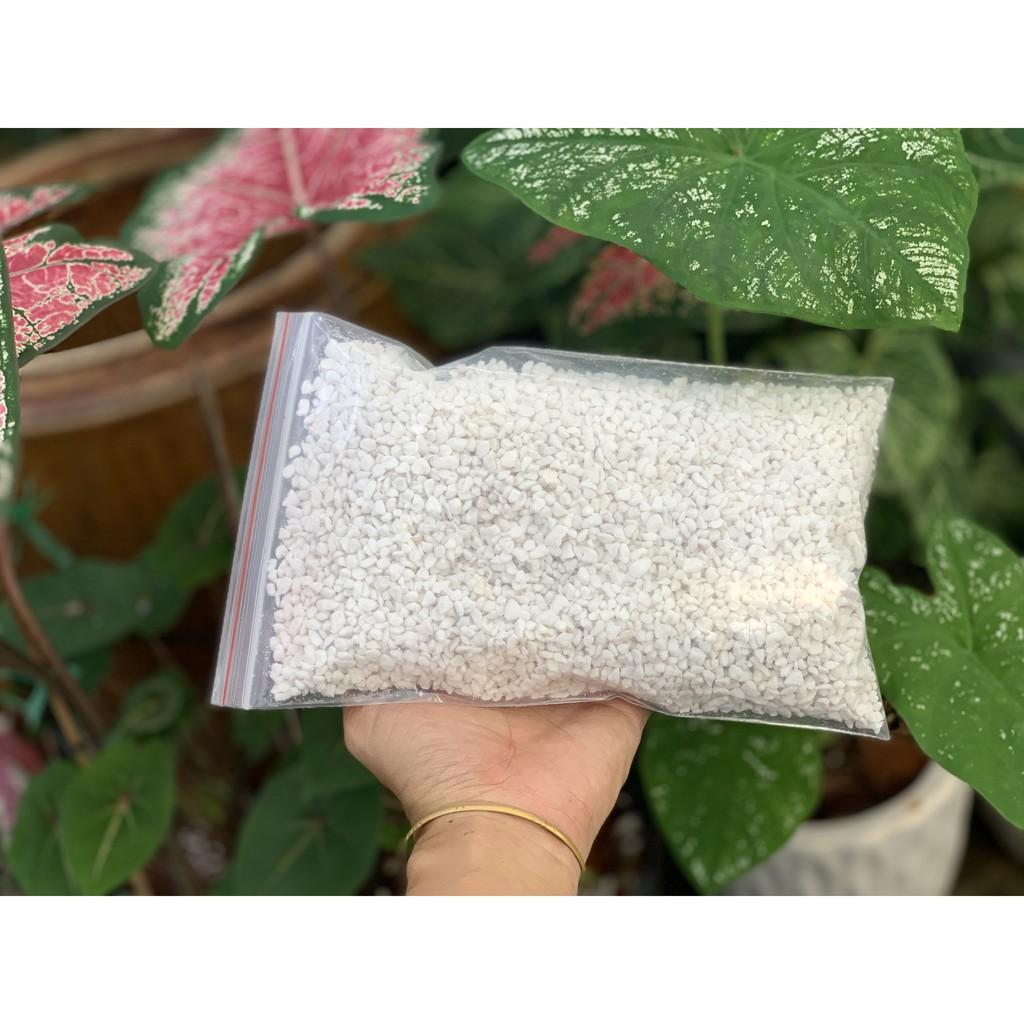 Đá perlite túi nhỏ 100gr tiện lợi - trồng sen đá