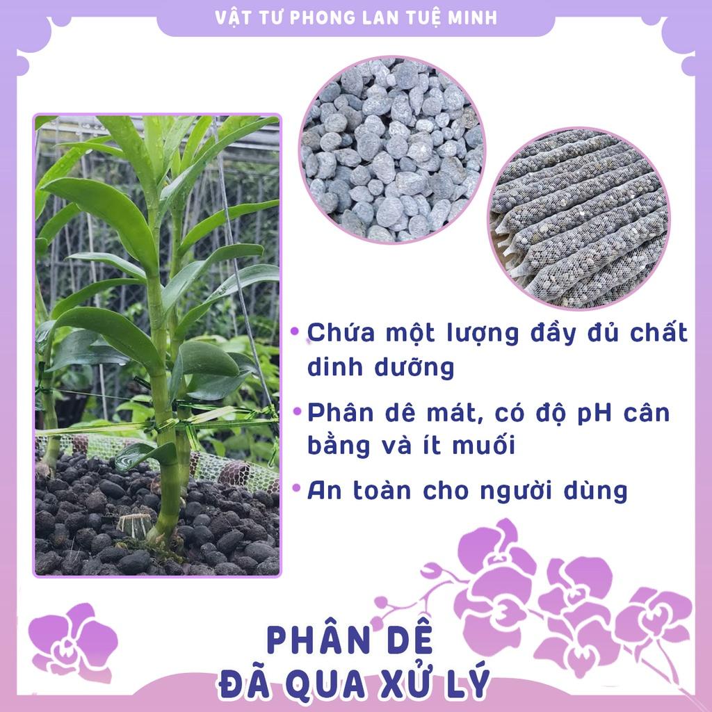 Set 50 thanh PHÂN DÊ BÓN LAN ĐÃ QUA XỬ LÝ 10cm-20cm-30cm-50cm