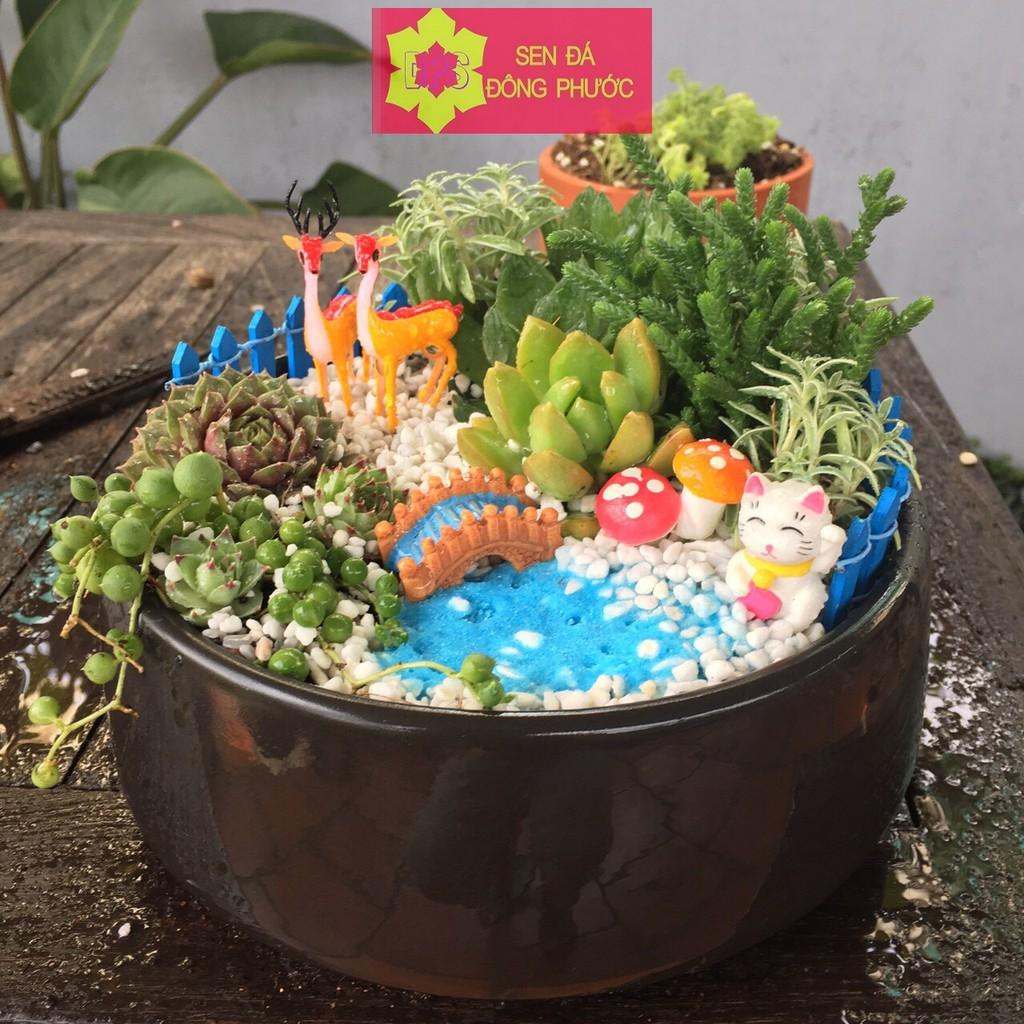Chậu sứ cao cấp hình tô các màu - chậu trồng tiểu cảnh sen đá, xương rồng, cây phong thuỷ văn phòng đẹp