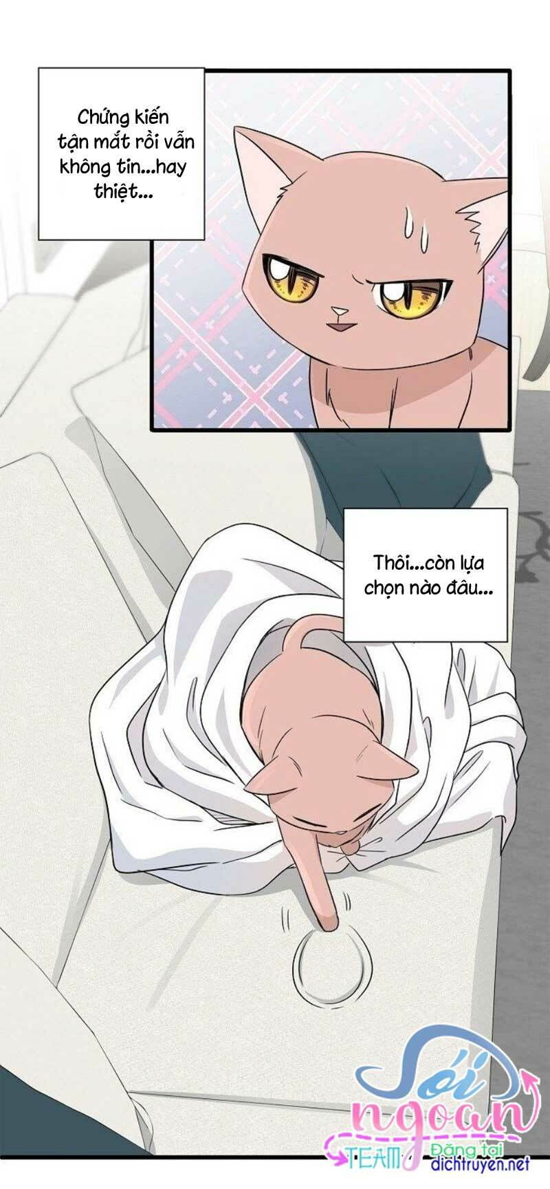 cuộc sống kỳ thú chapter 2 38