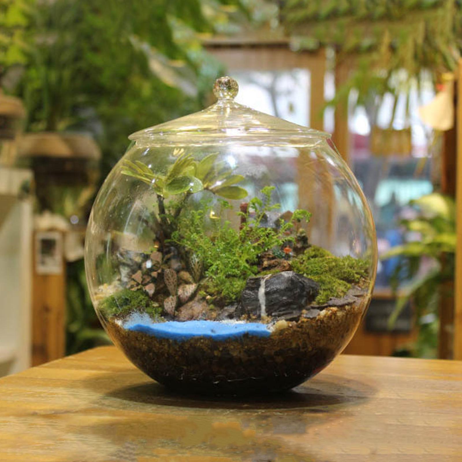 Glass Terrarium, Glass Plant Container, Sealed Storage Jar, Centerpiece Planter Jar Micro Landscape Bottle for Candy Coffee kitchen Nuts