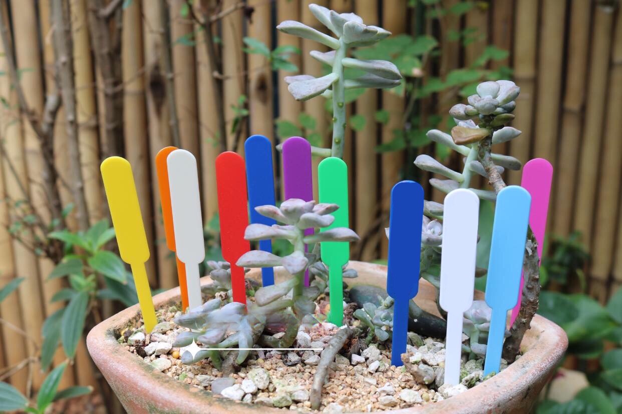 Thẻ ghi tên hoa kiểng, lan dạng cắm que - bịch 100 cái