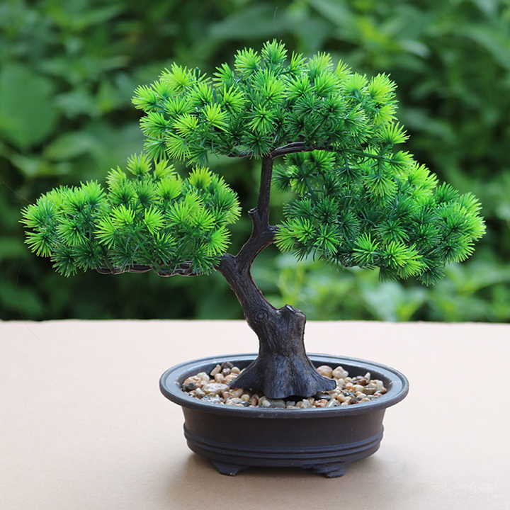 Chậu Cây Bonsai Dáng Cây Thông Trang Trí Nhà Cửa Sang Trọng - Hoa Giả, Cây Giả