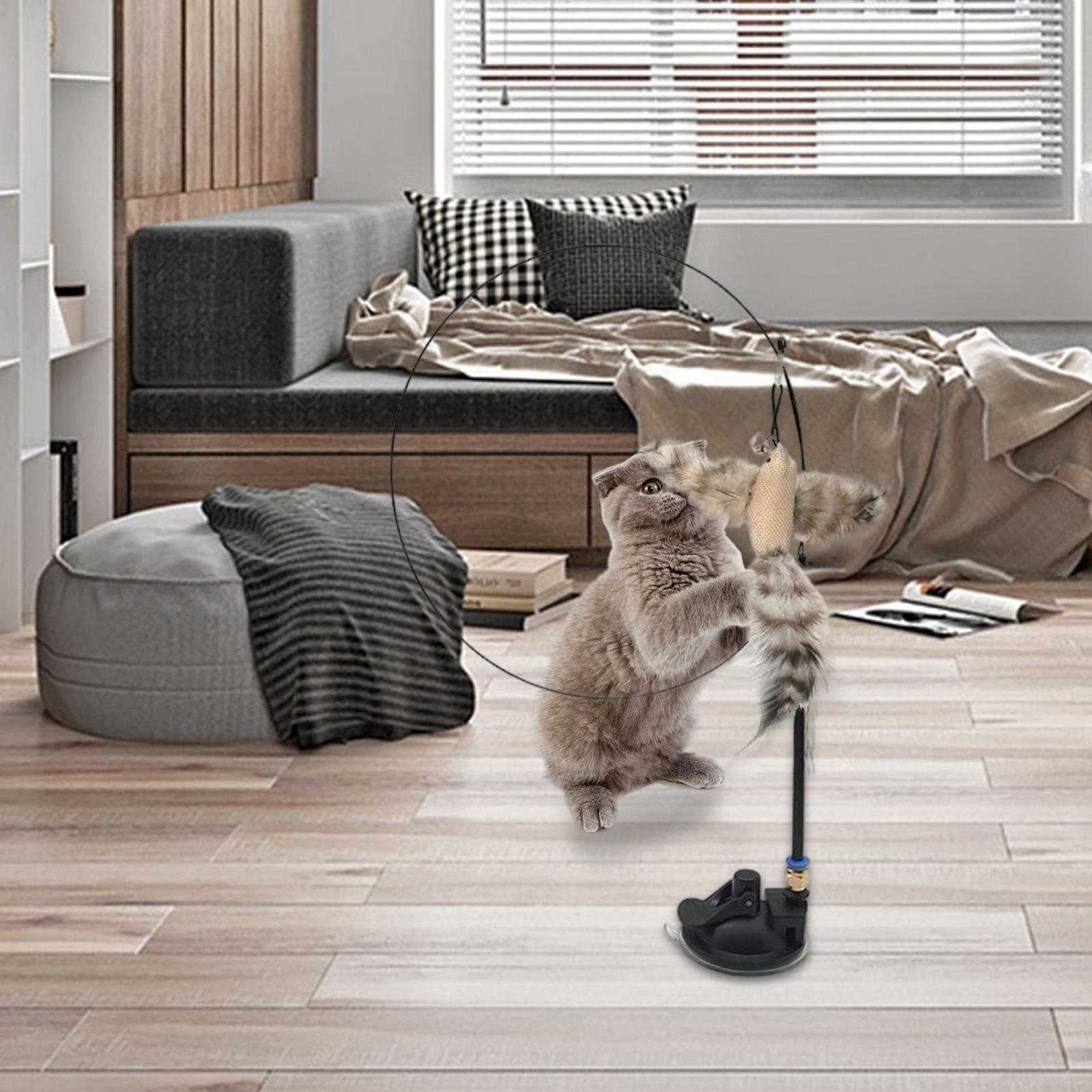 Cat Feather Toy Interactive Teaser  with  Kitten Indoor Exercise