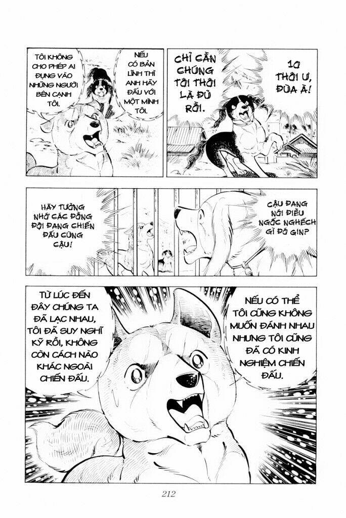 chú chó có nghĩa - ginga nagareboshi gin chapter 29.1 26