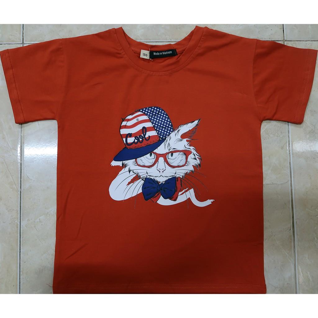 Áo thun trẻ em nam cotton 100% các màu : Mã 034