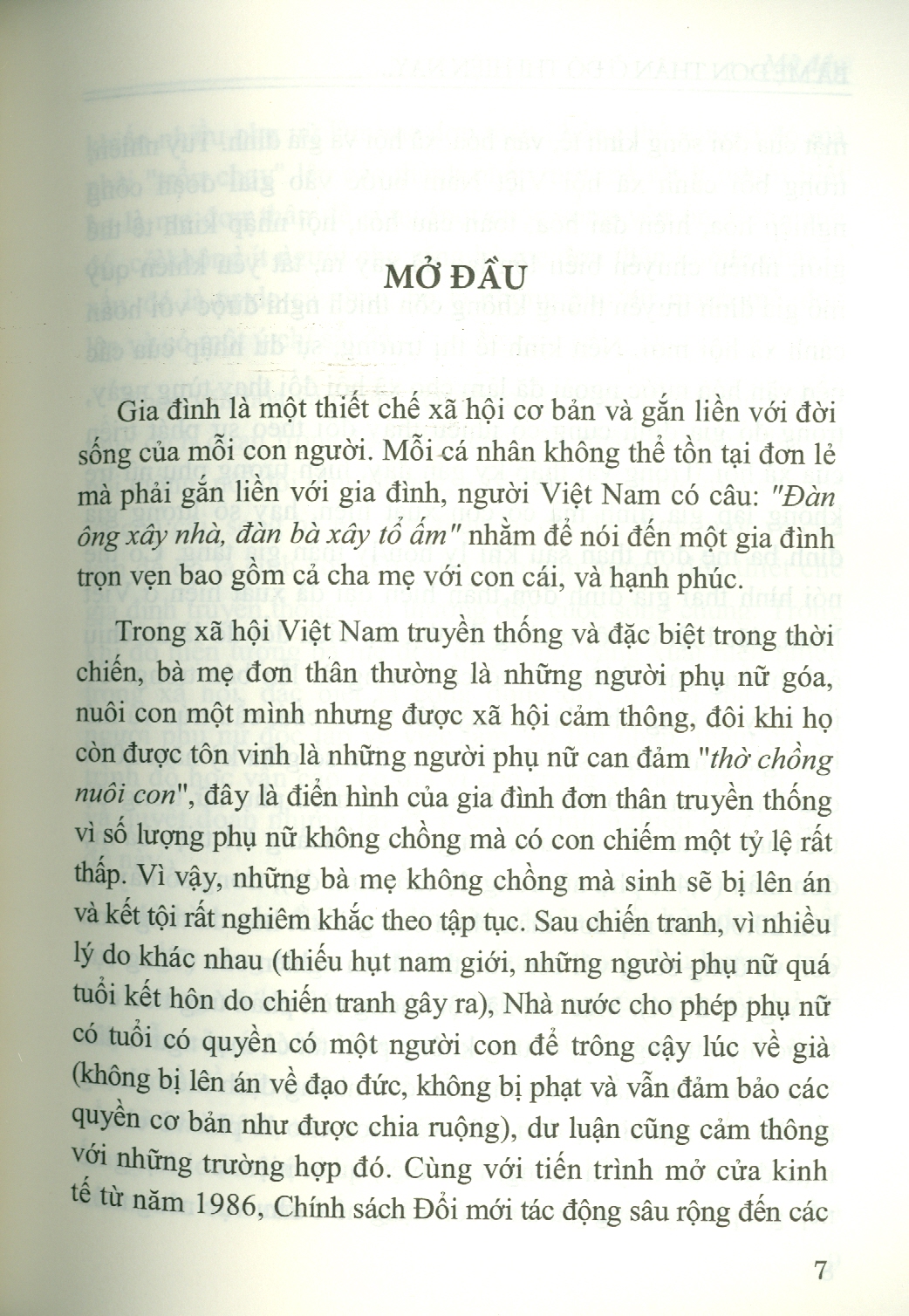 Bà Mẹ Đơn Thân Ở Đô Thị Hiện Nay - Nghiên Cứu Trường Hợp Tại Thành Phố Hà Nội (Sách chuyên khảo)