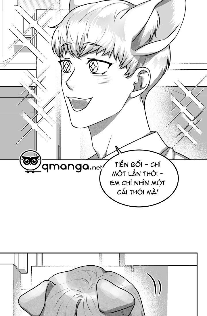 khi cún biết yêu chapter 11 42