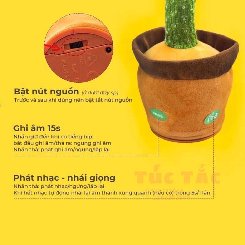 Xương rồng nhảy múa NHẠC VIỆT 120 BÀI NHẠI GIỌNG KÈM SẠC USB